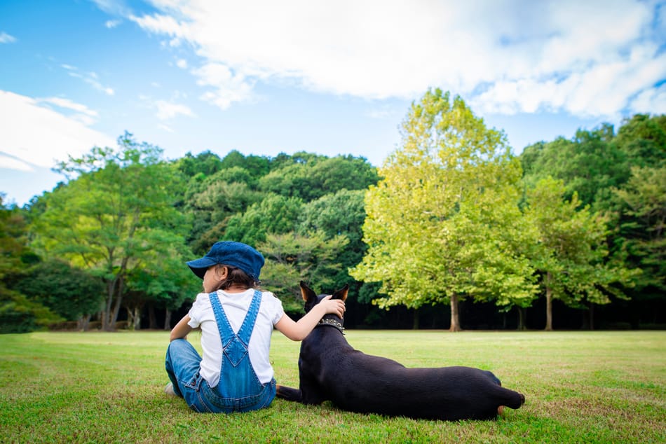 Doberman and a girl reflecting about life.