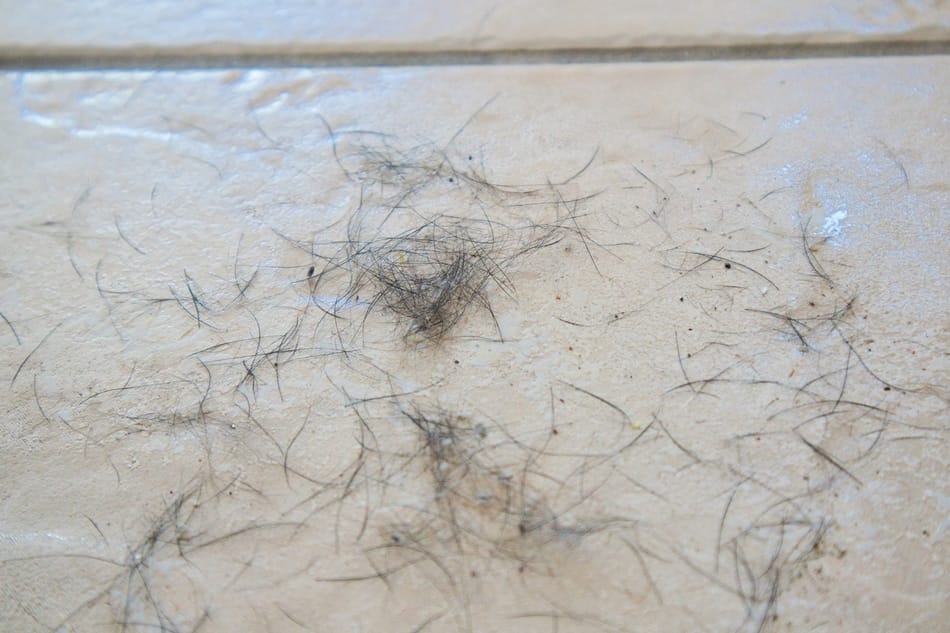 A small pile of Doberman hair on a tile floor.