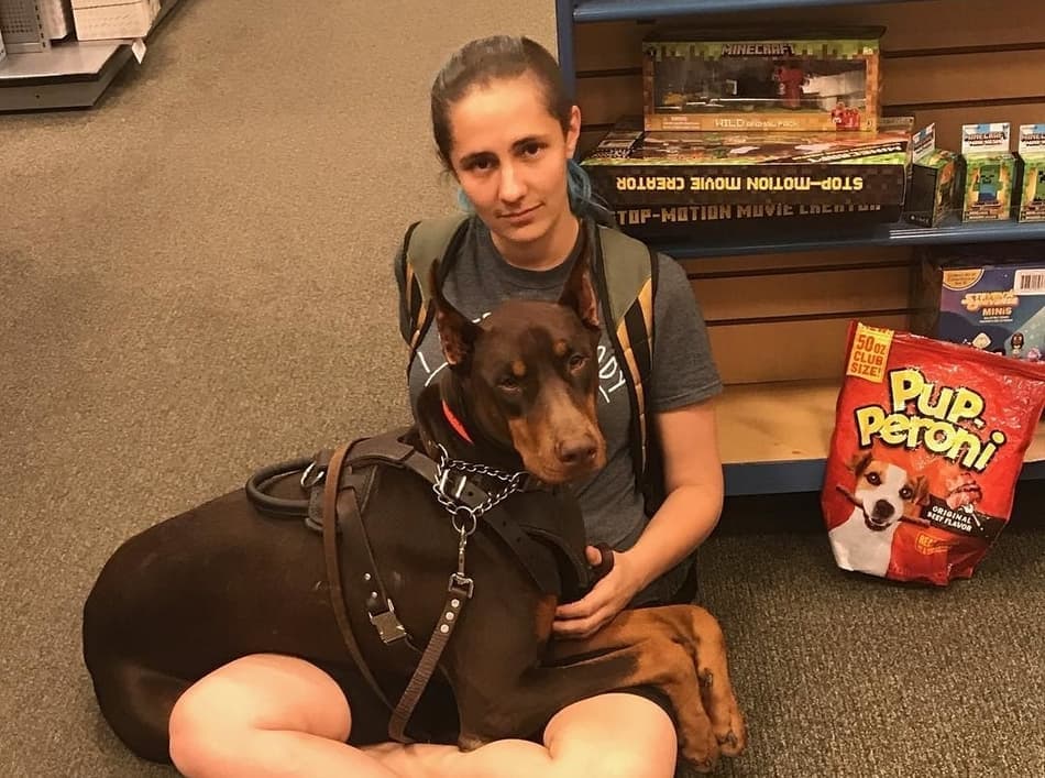 are dobermans good therapy dogs