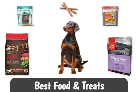 Best Food & Treats for Dobermans