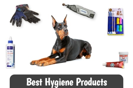 Best Hygiene Products