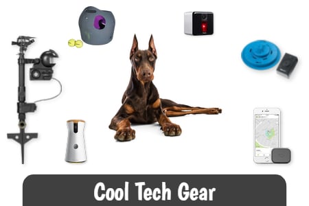 Cool Tech Gear and Gifts for Doberman Owners