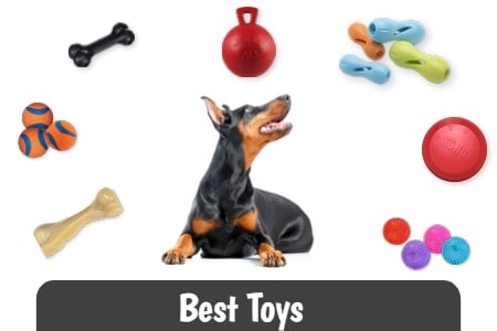 Recommended Products: Our Dobie-Perfect Picks - Doberman Planet