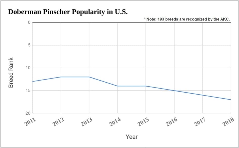 Graph of recent popularity of the Doberman Pinscher in the U.S.