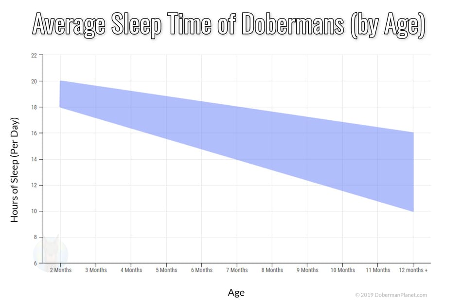 Graph of the average sleep times of Doberman puppies.