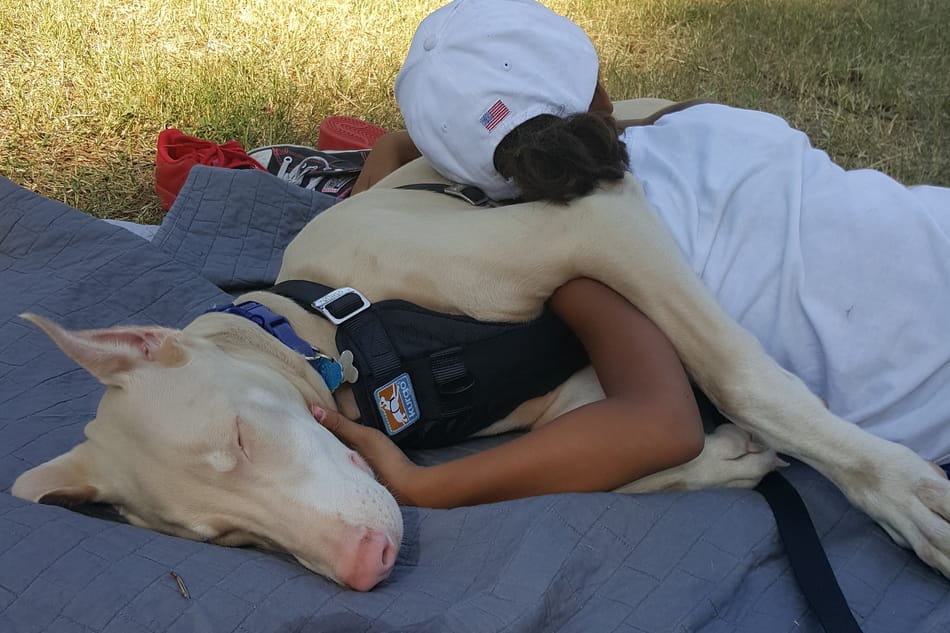 White Doberman relaxing with his owner.