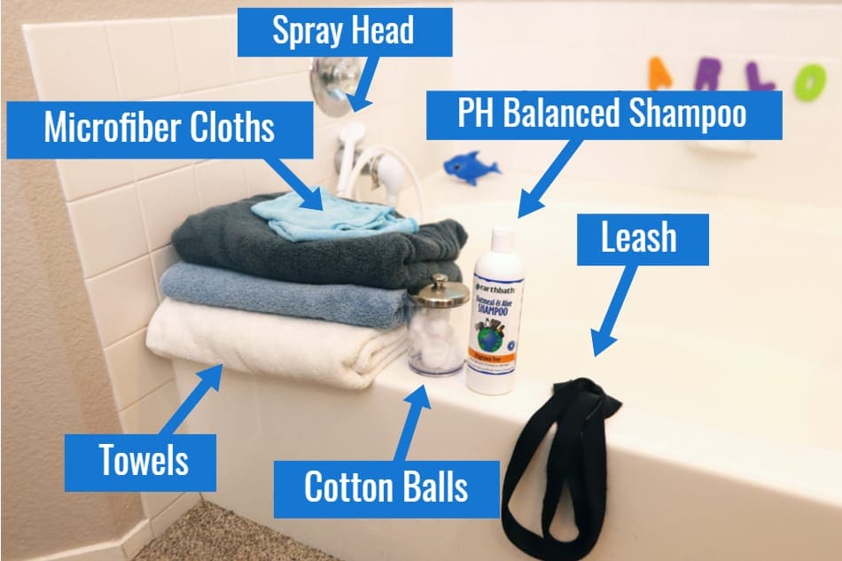 Items You'll Need to Bathe Your Doberman