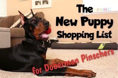 doberman pet shop