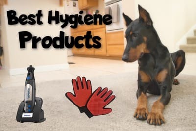 Best Hygiene and Grooming Products for Dobermans - Doberman Planet