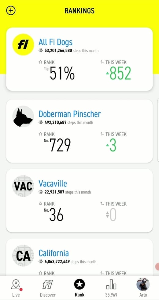 Fi Smart Collar Weekly Rankings Reporting Screenshot