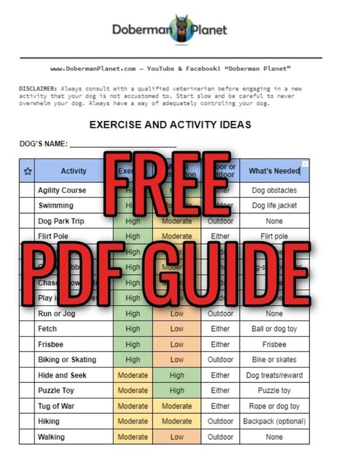 Free PDF Activity Guide Icon