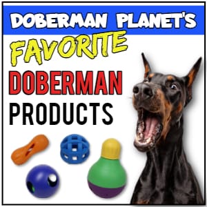 Best Toys For Doberman Pinschers