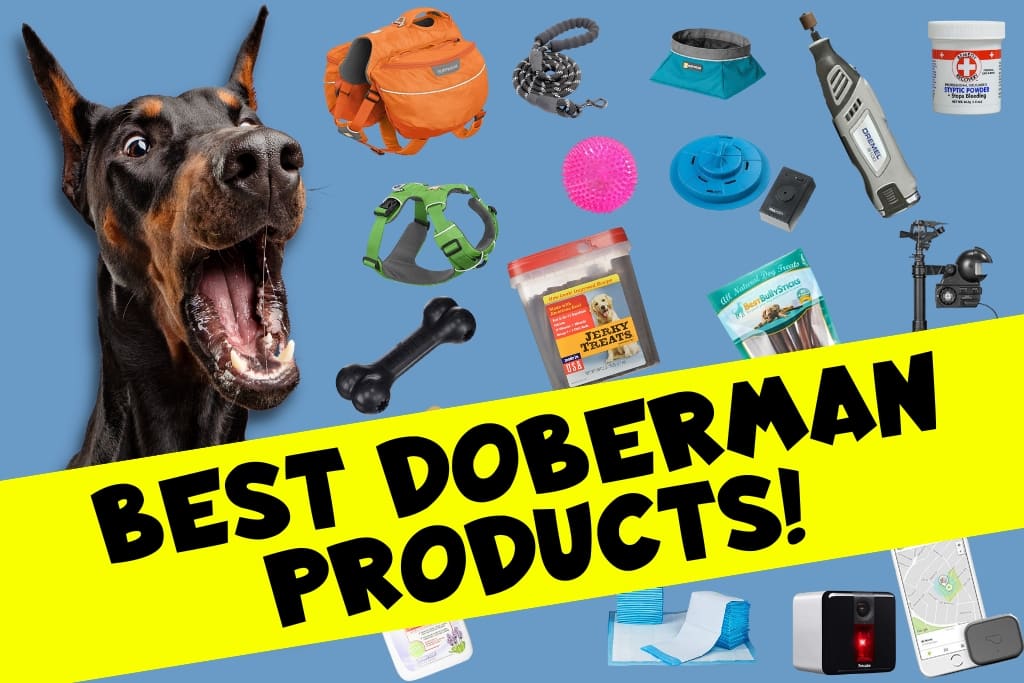 Recommended Doberman Products